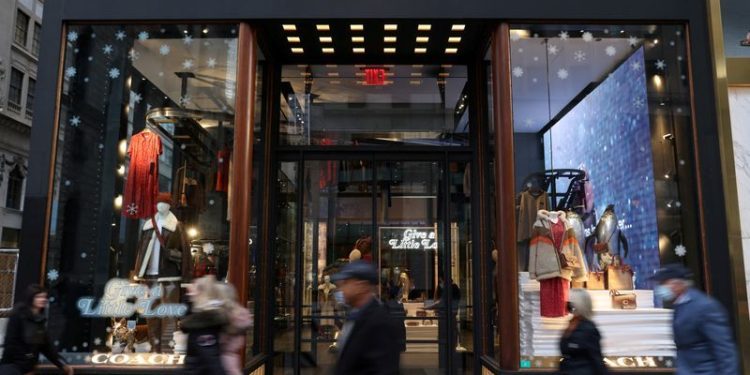 Room to hike Kors prices seen in Tapestry-Capri merger, executive testifies