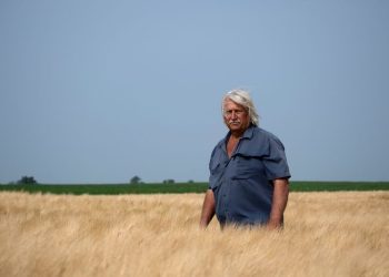 As beer loses share to hard seltzer, US barley farmers scramble