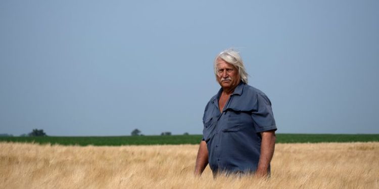 As beer loses share to hard seltzer, US barley farmers scramble