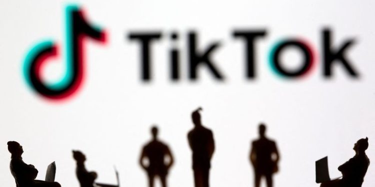 TikTok, Justice Department face off in court over potential US ban
