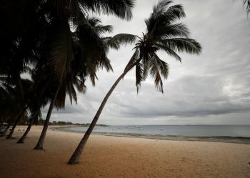 Exclusive-African countries eye world’s first joint ‘debt-for-nature’ swap