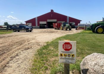 US farmers call for vaccine option to fight bird flu as wildfowl migration begins