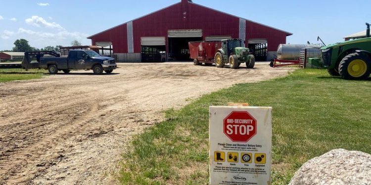 US farmers call for vaccine option to fight bird flu as wildfowl migration begins