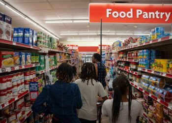 When the dollar store closes, US families on food benefits lose a lifeline