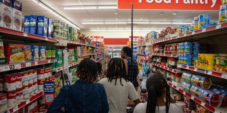 When the dollar store closes, US families on food benefits lose a lifeline