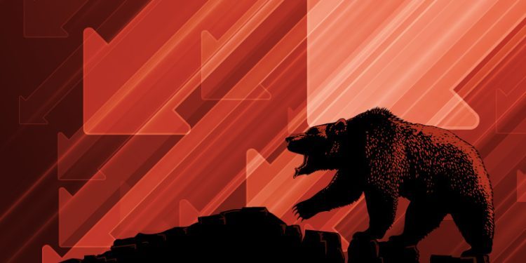 What can we learn from bear markets?