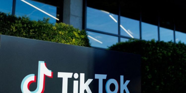 TikTok sued by 13 states and DC, accused of harming younger users