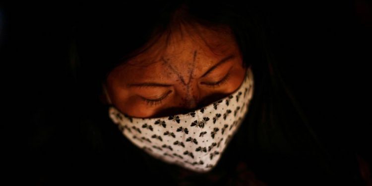 Indigenous groups in Brazil: We were not consulted on carbon credits