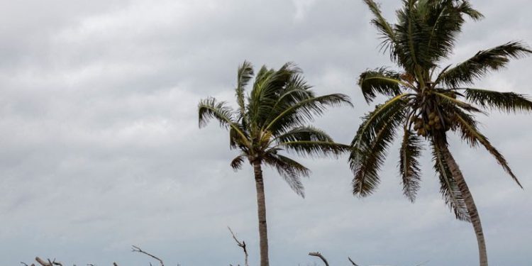 US flood catastrophe bonds fall sharply after Hurricane Milton