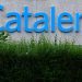 Catalent to sell New Jersey facility