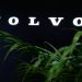 Volvo Cars cuts full-year growth outlook on market slowdown