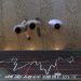 Asia stocks rise tracking Wall St; China stimulus rally fizzles