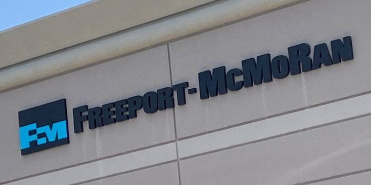 Delay in Chile mining permits a serious problem, says local head of Freeport