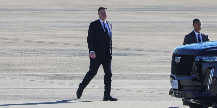 Explainer-How Musk’s US government efficiency panel might work