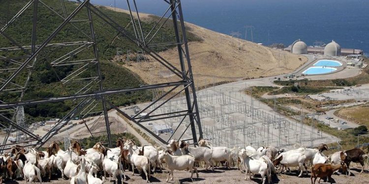 California’s only nuclear plant to use AI to help comply with new licensing challenges