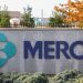 Merck’s therapy for rare lung condition shown to help reduce risk of death in study
