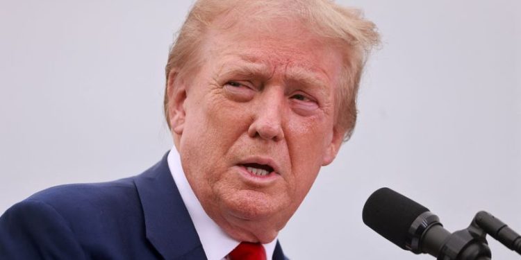 Shares in Trump Media extend slump as investors weigh upcoming US election