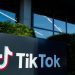 ByteDance, TikTok seek temporary halt to US ban pending Supreme Court review