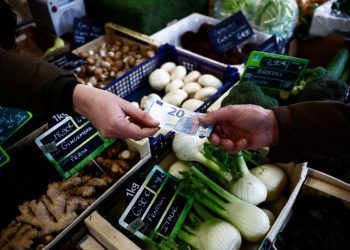 Factbox-Criteria to adopt the euro currency