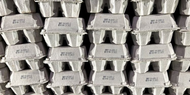 Bird flu drives US egg prices to all-time highs before Christmas