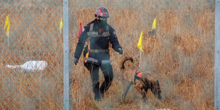 South Korea’s acting leader orders inspection of airline systems after country’s worst air disaster
