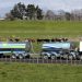 New Zealand’s Fonterra reports drop in first-quarter profit