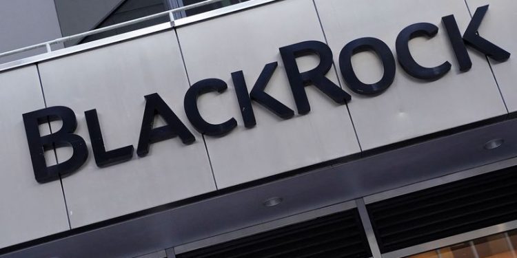 BlackRock quits climate group as Wall Street lowers environmental profile