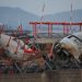 Analysis-South Korea jet crash puts fast-growing Jeju Air’s safety under scrutiny
