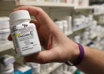 Ex-McKinsey partner pleads guilty to destroying records about work promoting opioids