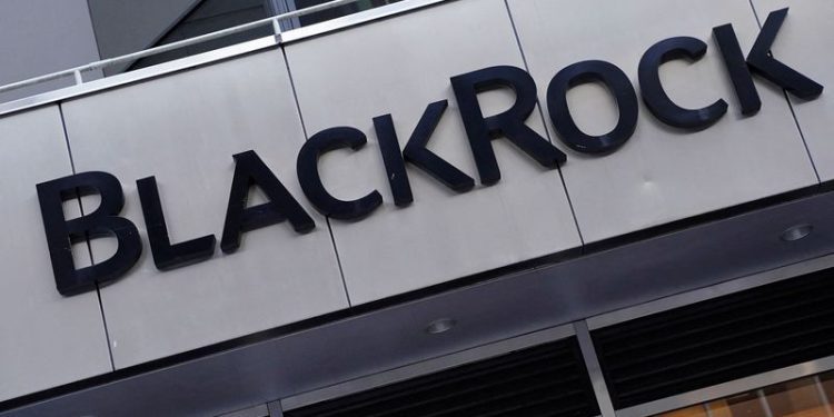 BlackRock assets hit record $11.6 trillion in fourth quarter of 2024