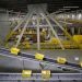 Brazil startup partners with agro firm to reforest degraded Amazon land