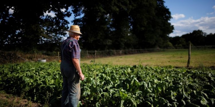 Bunge and Viterra’s $34 billion merger deal gets Canada’s approval