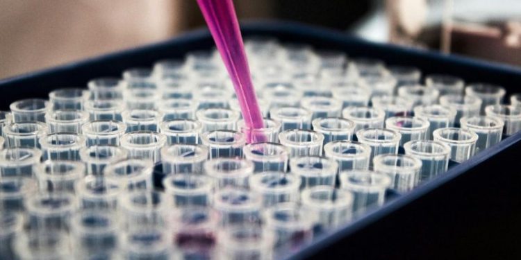 Amgen, Merck and Pfizer Release Latest Quarterly Earnings, Share 2025 Plans